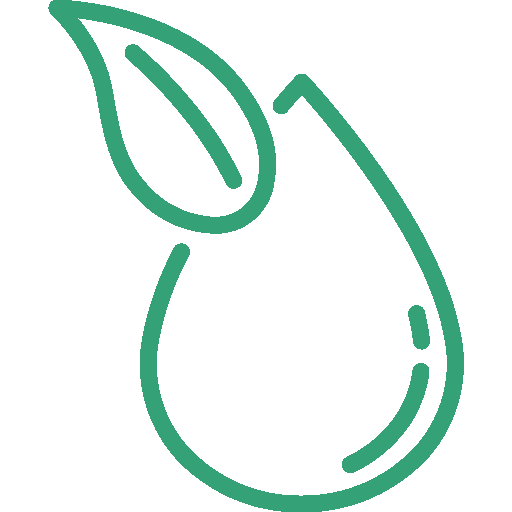 Bio